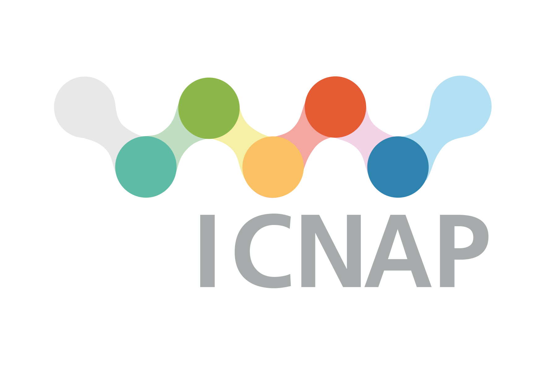 Signet, dass repräsentativ die ICNAP Themenfelder mit verschiedenen Farben darstellt