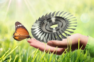 Offene Hand mit Schmetterling und einer BLISK