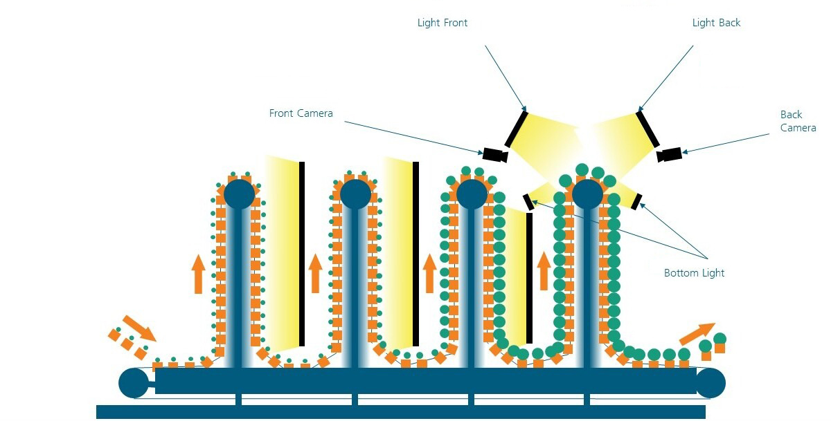 Graphic showing an overview of the system for preharvesting quality control in vertical farming