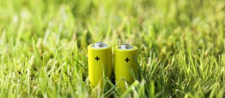 Zwei Grüne Batterien zwischen Grashalmen